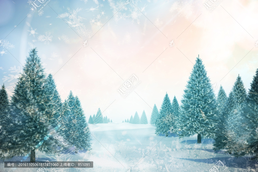 雪景觀和冷杉樹