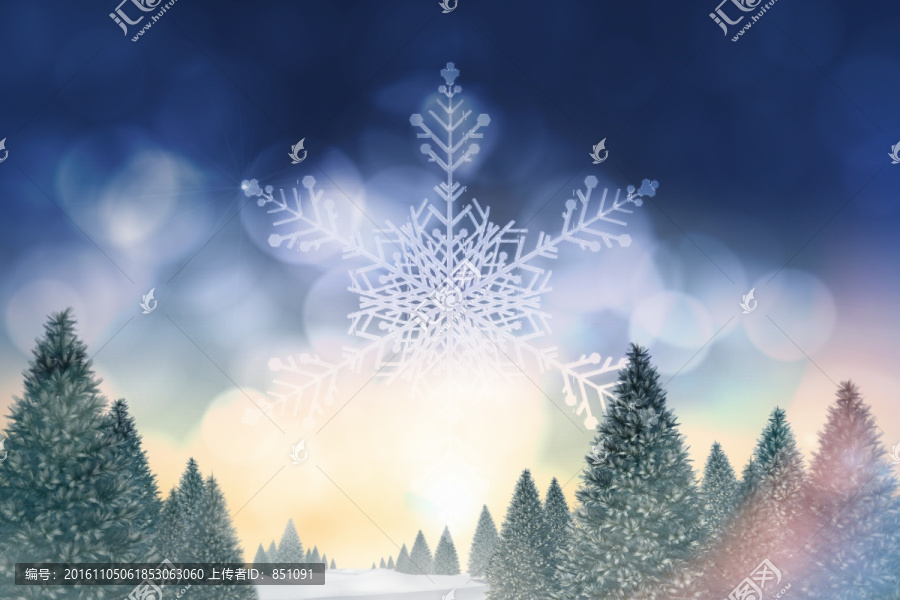 雪景觀和冷杉樹