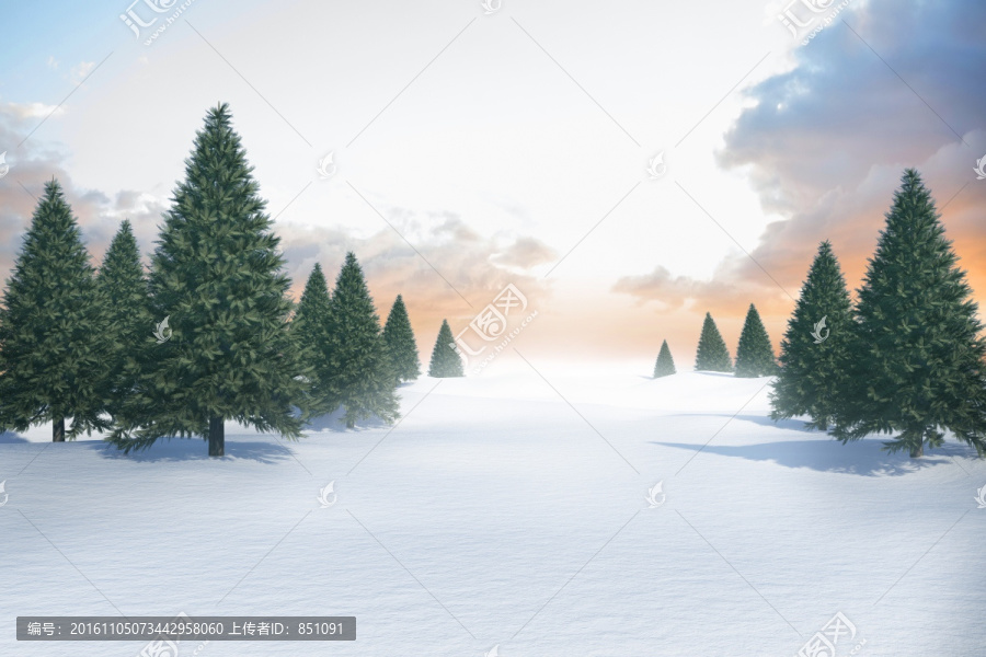 雪景觀和冷杉樹