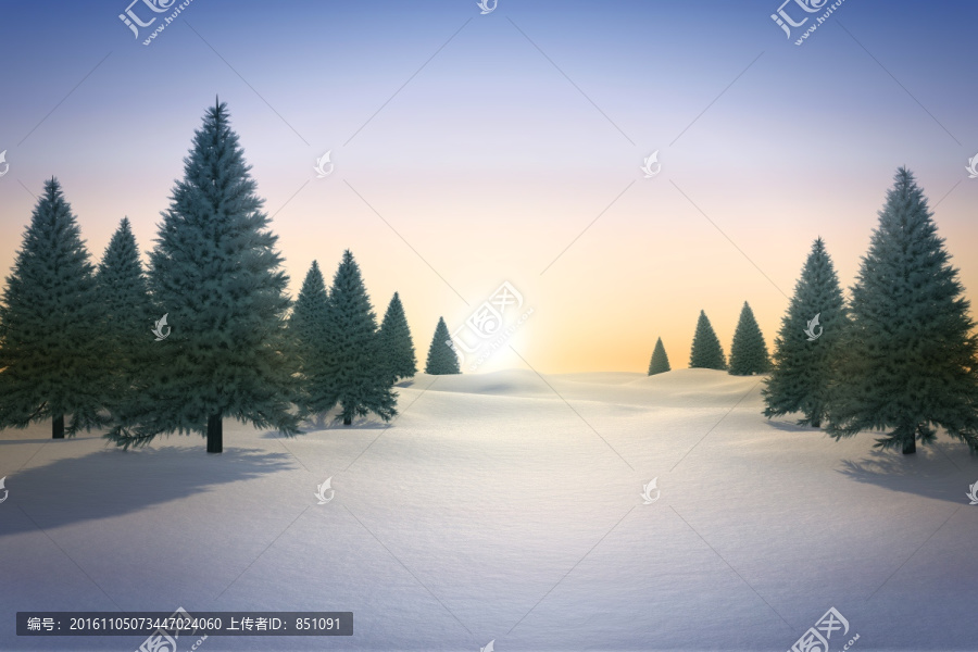 雪景觀和冷杉樹