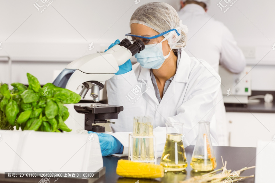 在实验室里用显微镜的女科学家