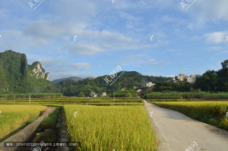 山村稻田