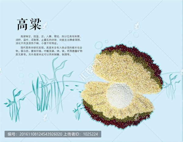 高粱