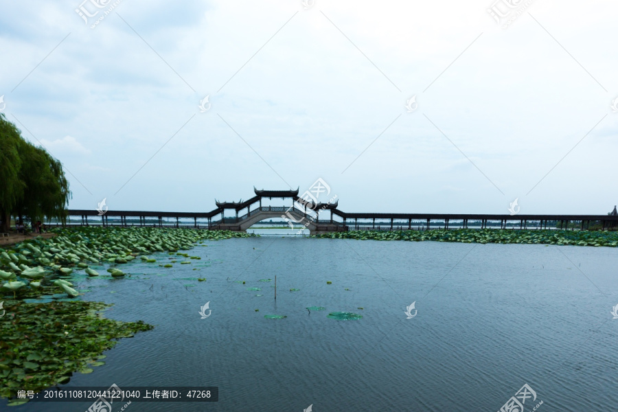 锦溪风景