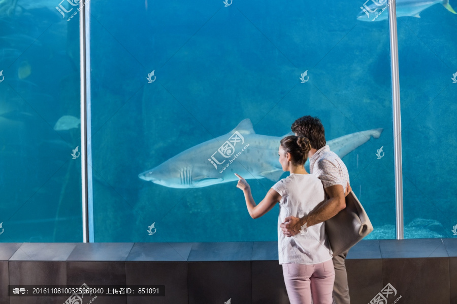 在水族馆看鱼的男女