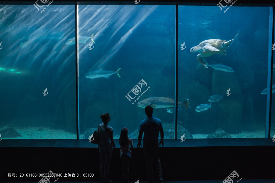 在水族馆看鱼的一家人