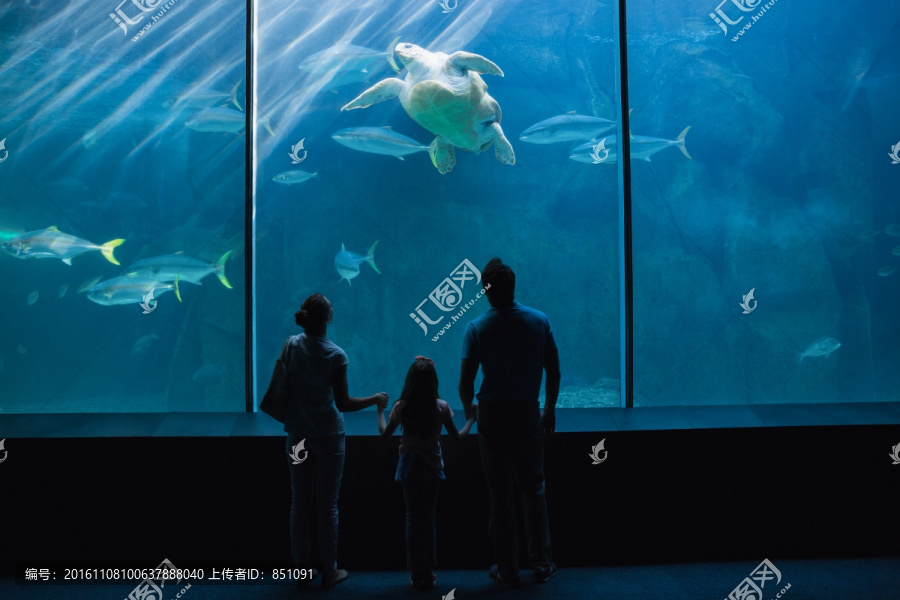 在水族馆看鱼的一家人