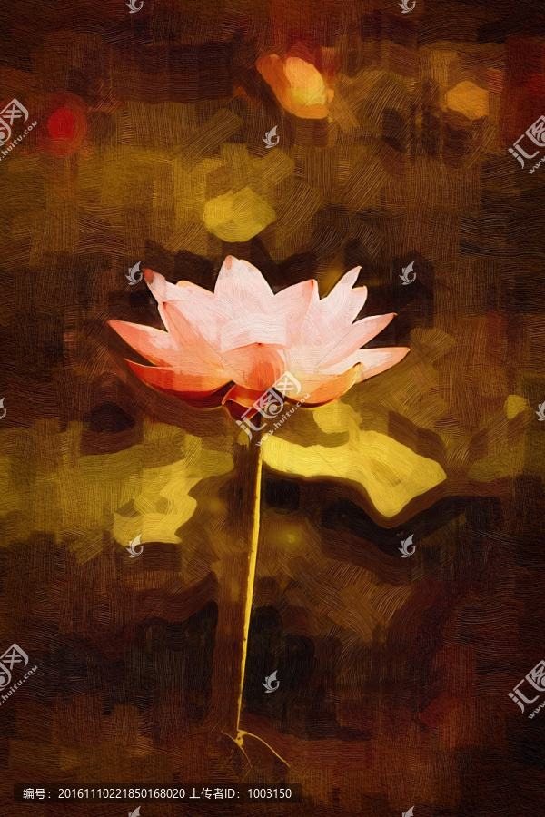 無(wú)框畫(huà),油畫(huà)荷花