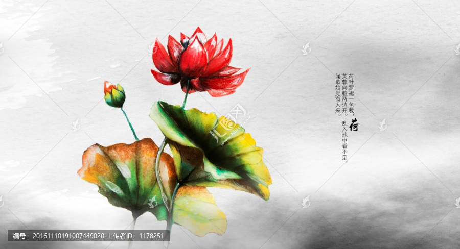 水墨荷花裝飾插畫