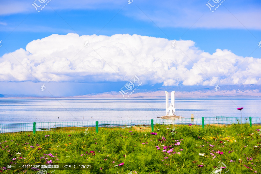 青海湖風(fēng)光