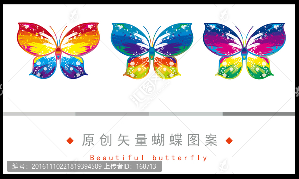 炫彩蝴蝶圖案