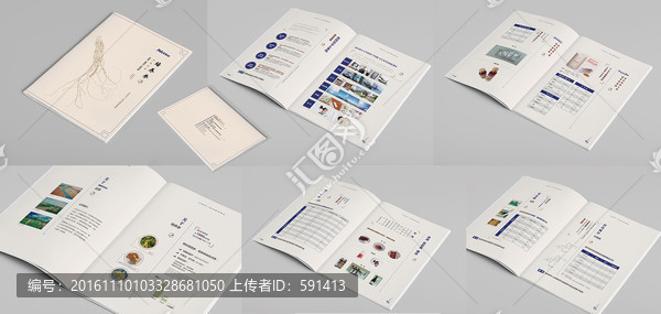 培養(yǎng)參畫冊