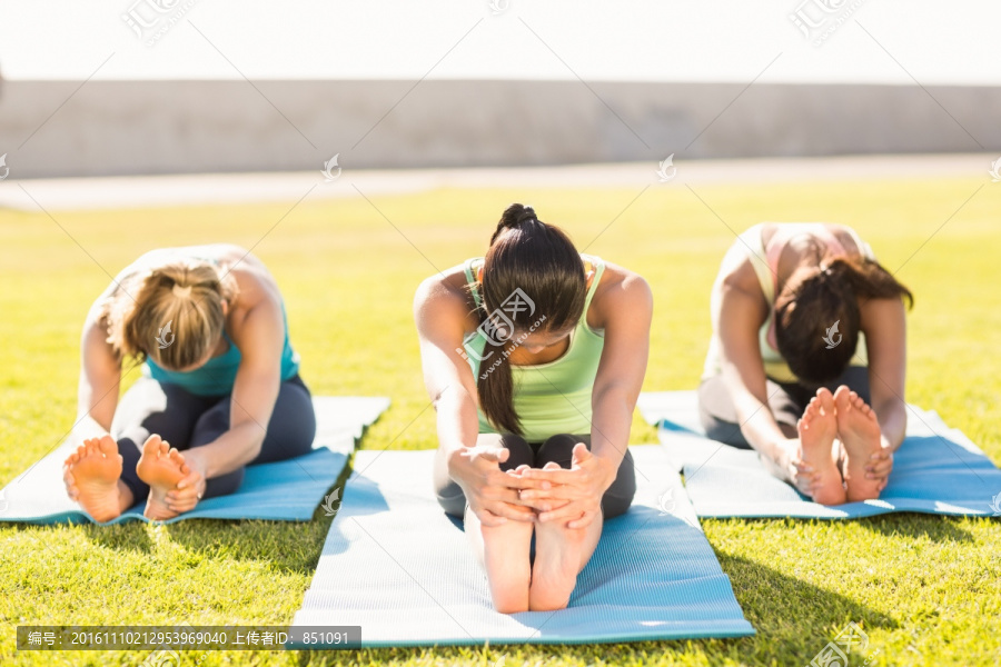 在公园练着瑜伽的女人