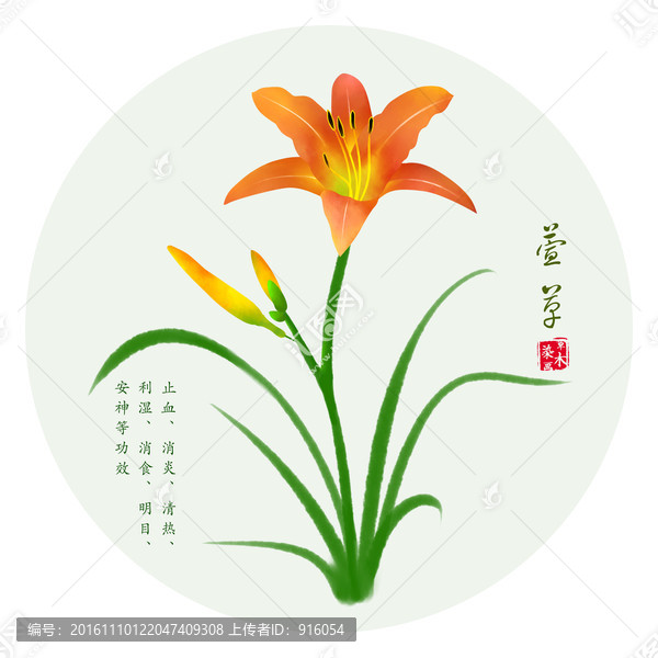 萱草,手繪黃花菜