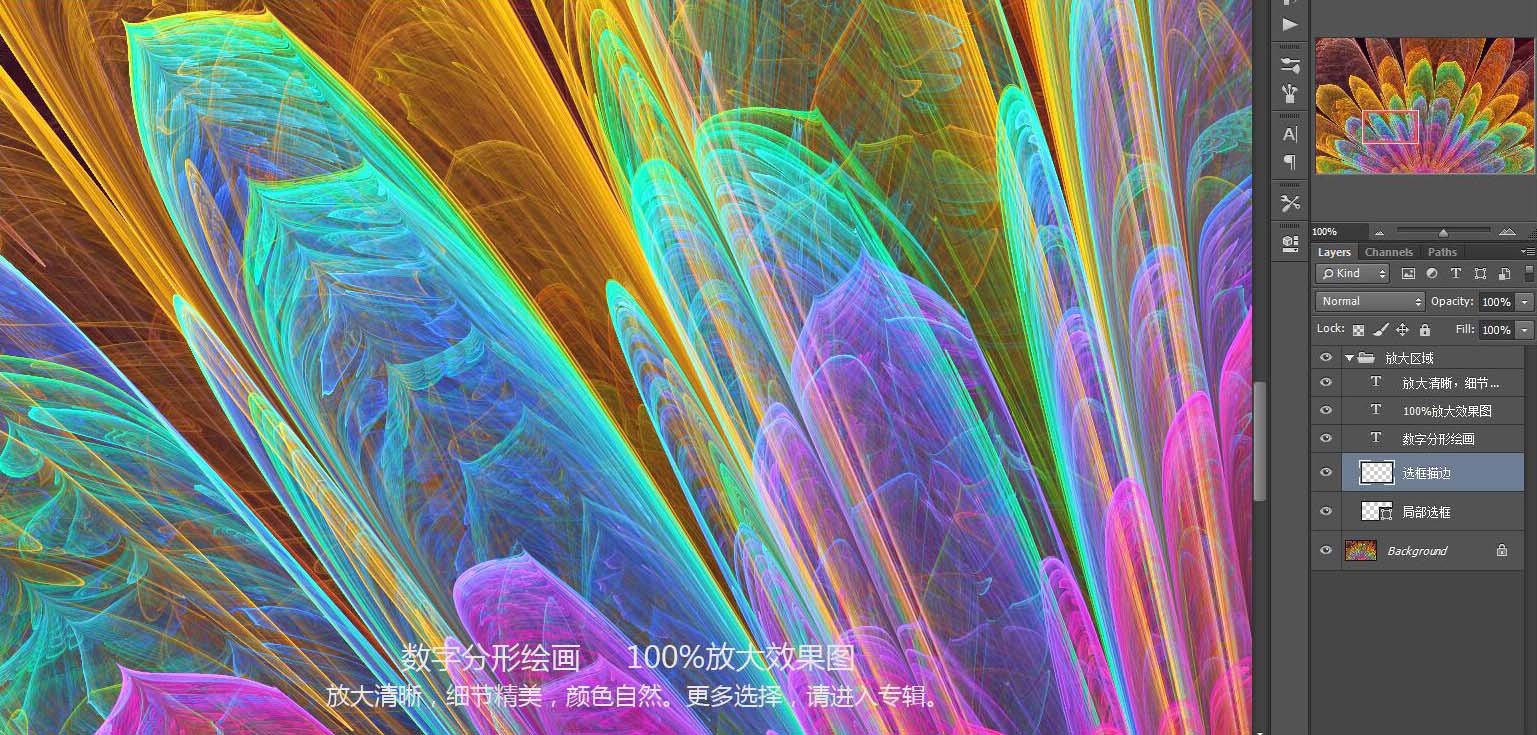 花紋圖案