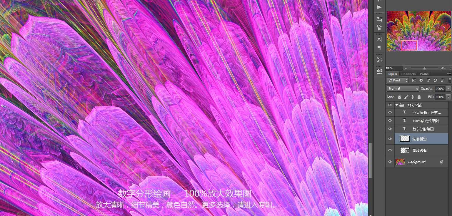 花紋圖案