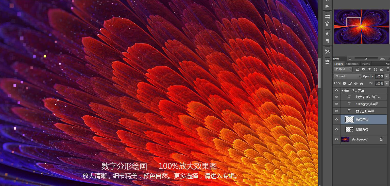 花紋圖案