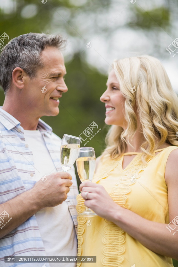 在戶(hù)外香檳酒的夫婦
