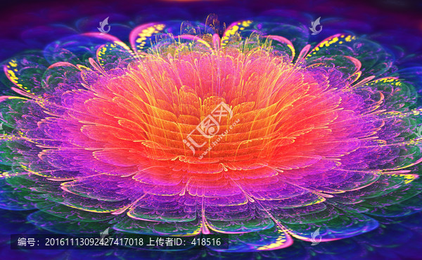 花朵