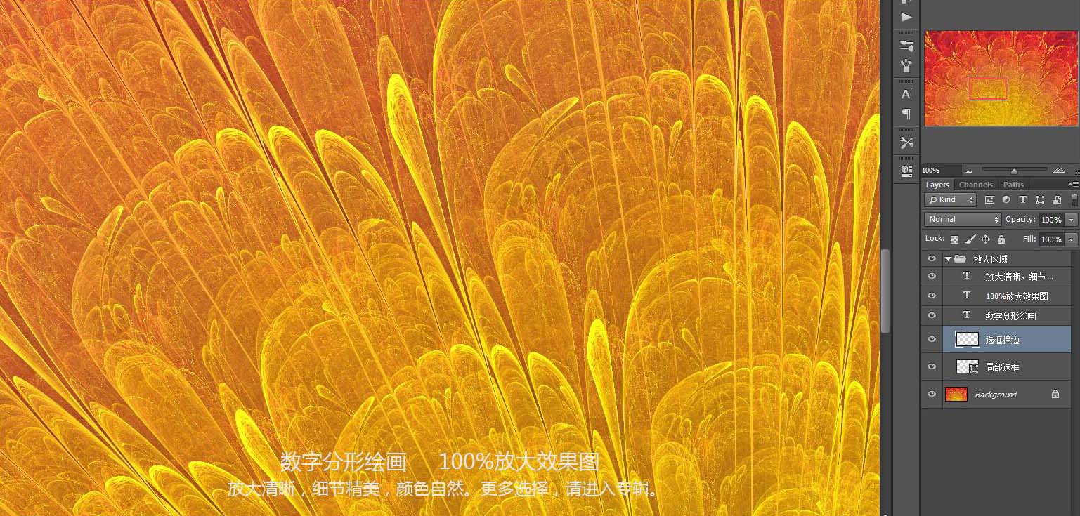 花紋圖案
