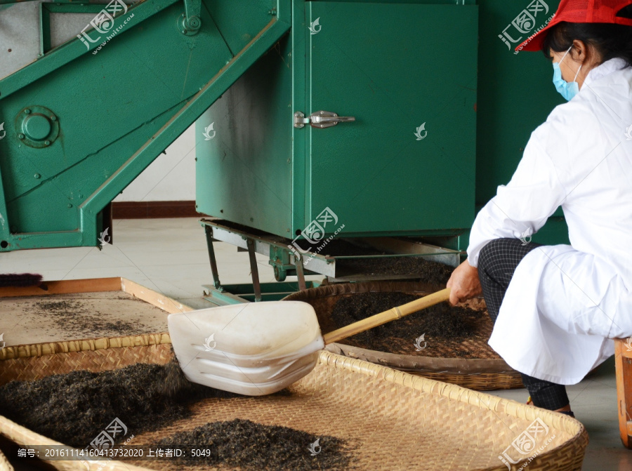 红茶制作工艺之烘培干燥