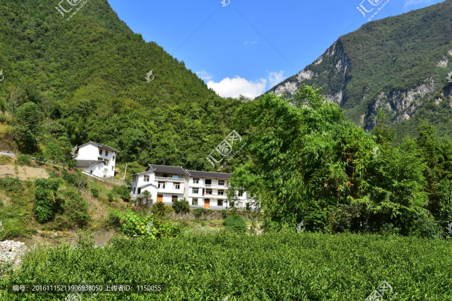 农村田园农家风景