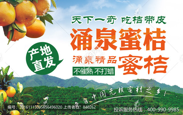 涌泉蜜桔KT板