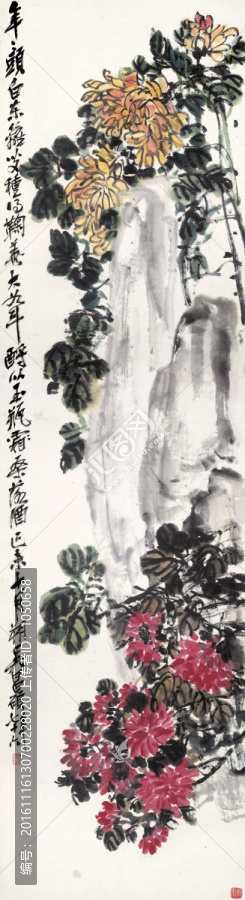 吳昌碩,菊花