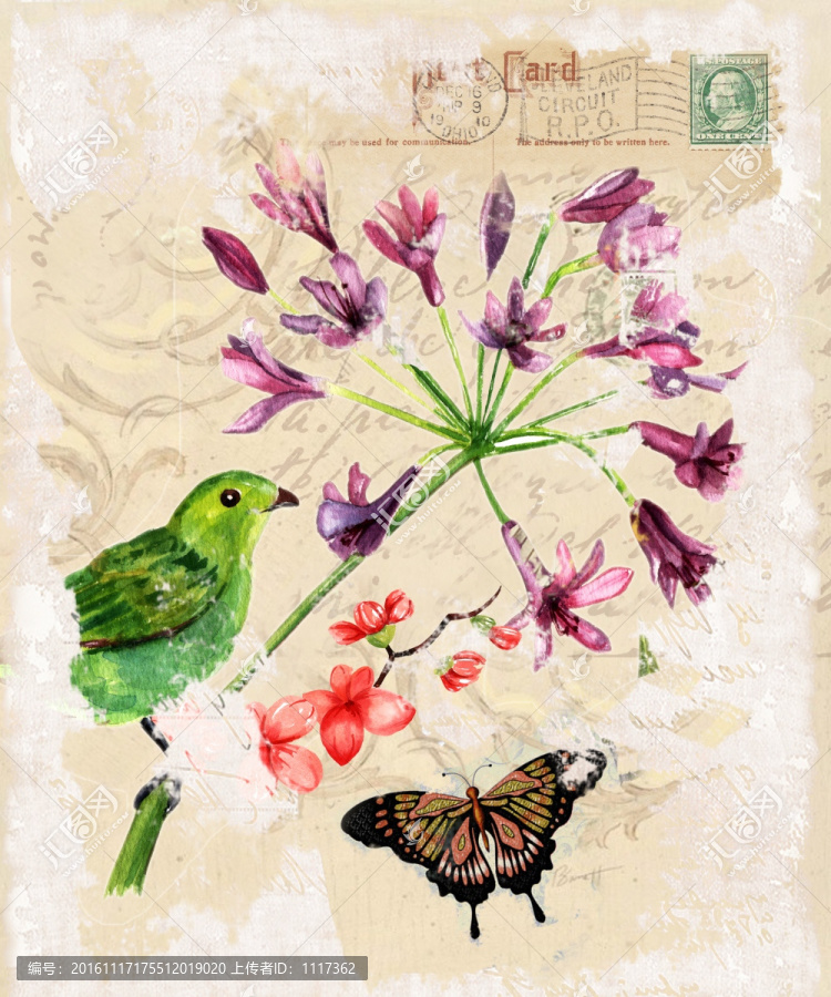 花鳥,懷舊花鳥,蝴蝶,歐美無框