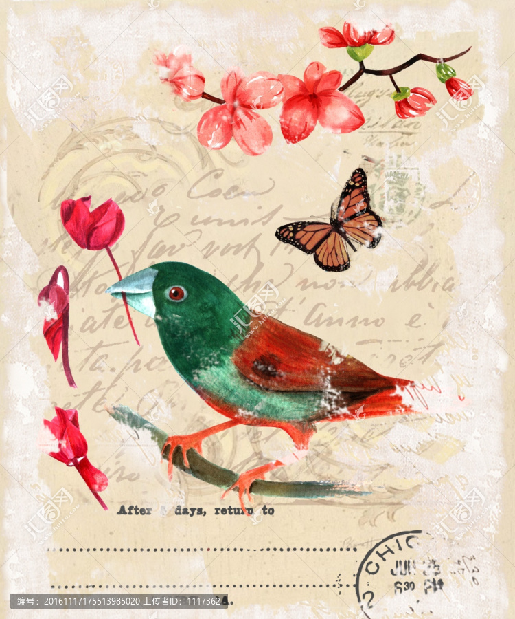 花鳥,懷舊花鳥,蝴蝶,歐美無框