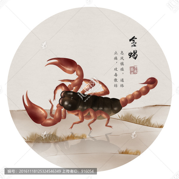 全蝎,手繪蝎子