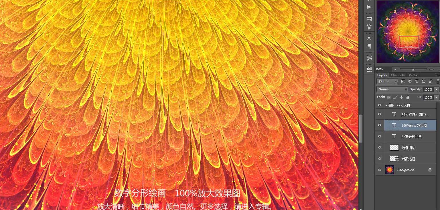 花朵