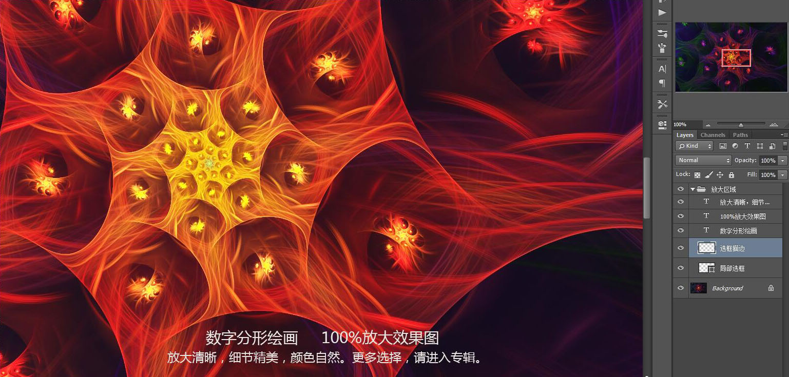 花紋圖案