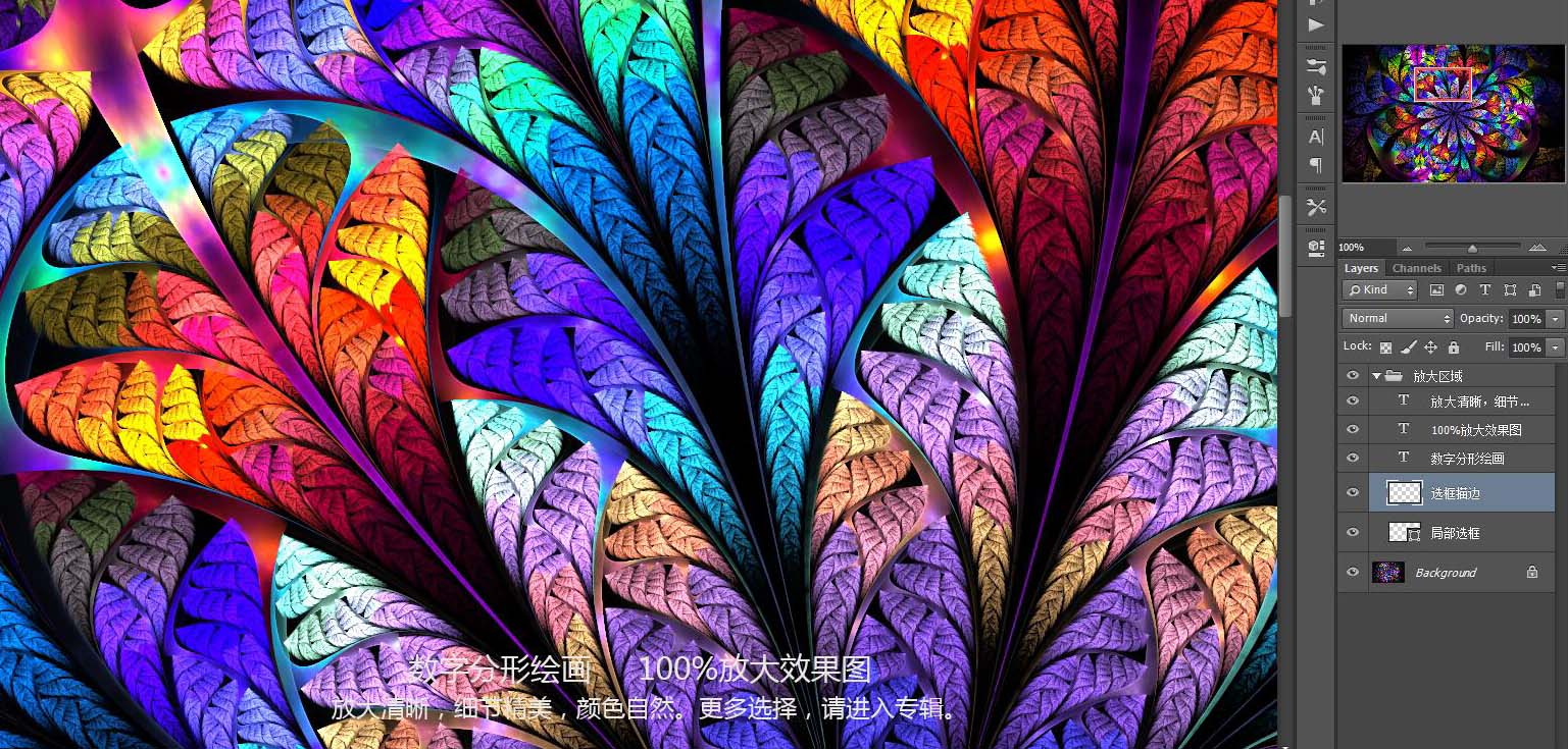花紋圖案