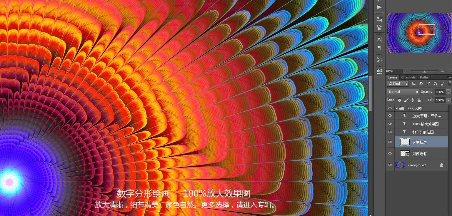 花紋圖案