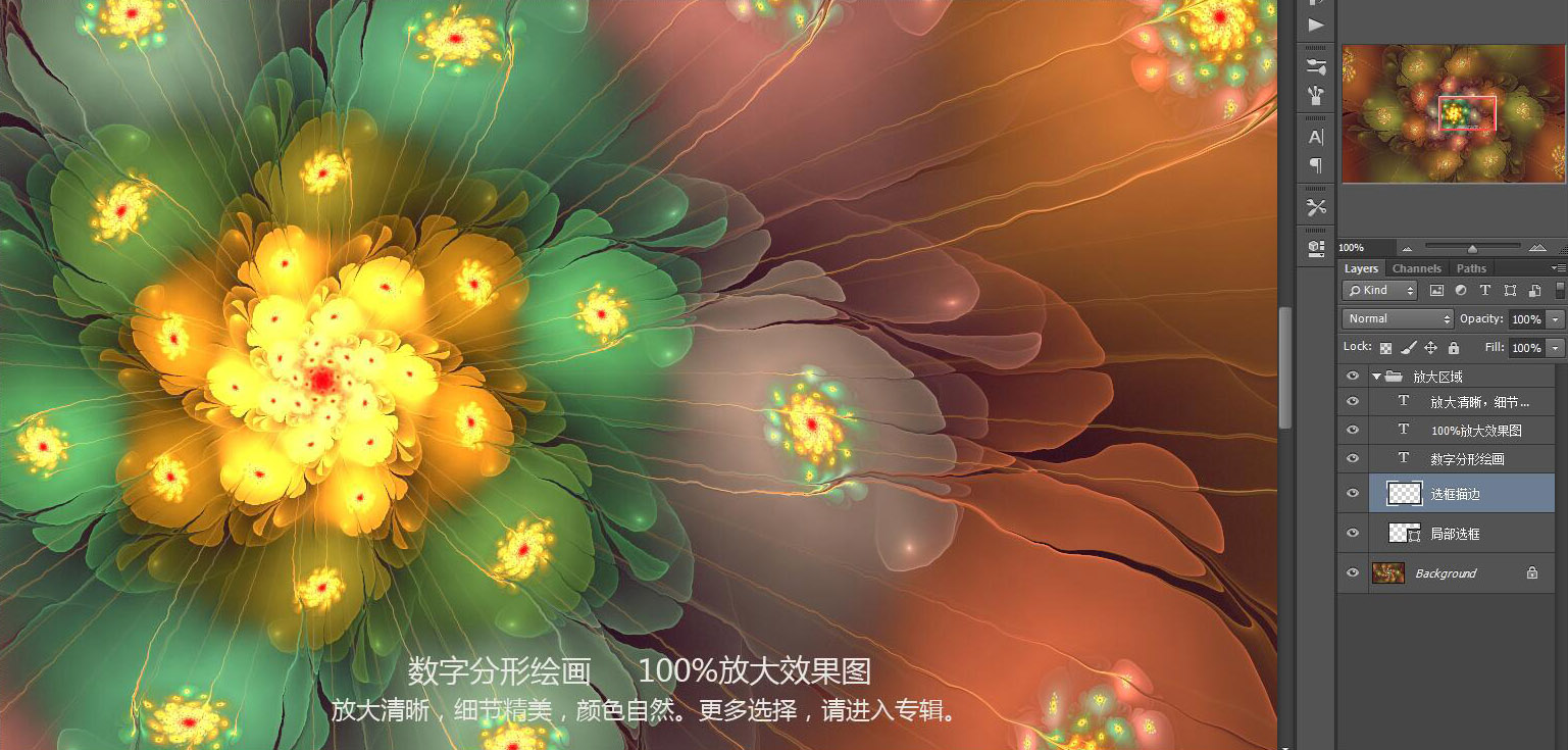 花朵