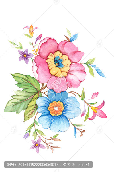 手繪花朵,水彩花卉