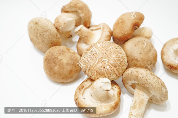 新鲜香菇素材,一堆香菇