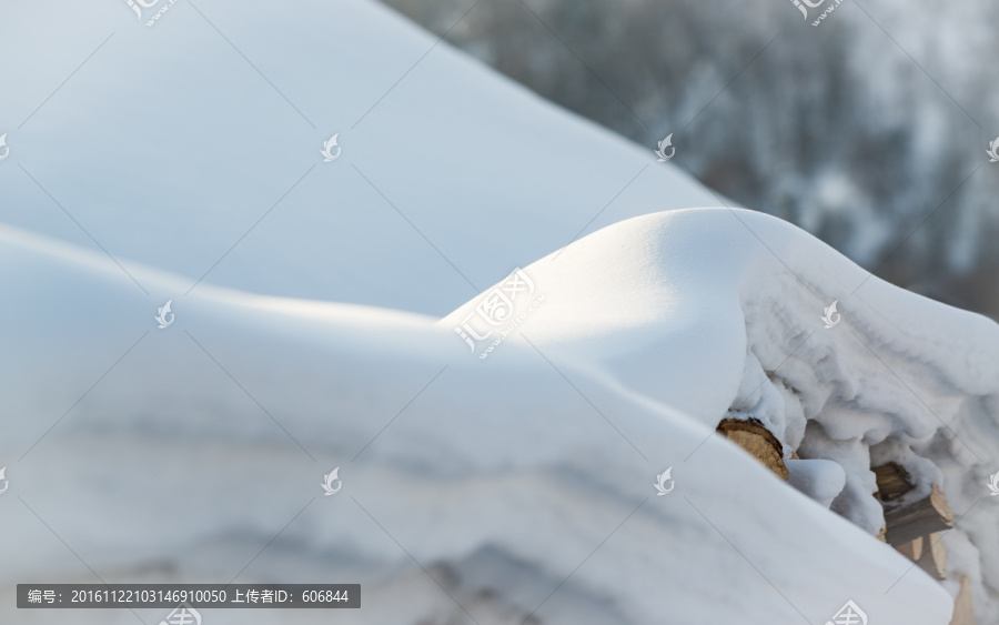 雪景