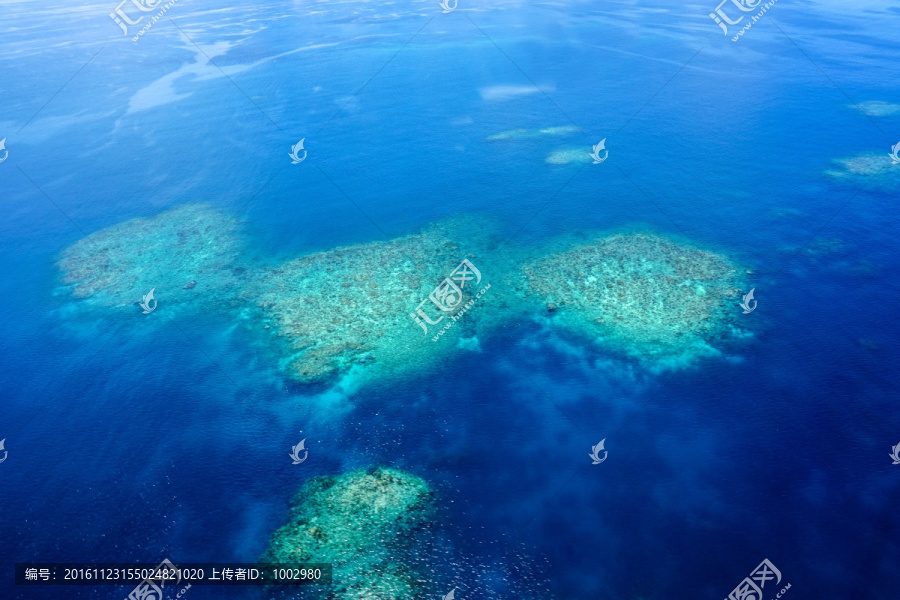 海洋浅海珊瑚礁