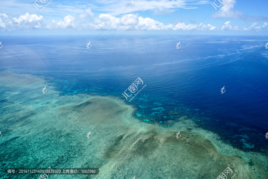 海洋浅海珊瑚礁