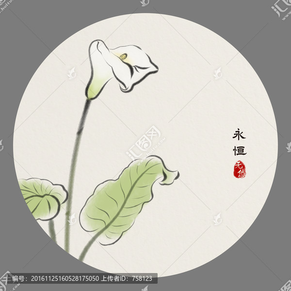 語花系列馬蹄蓮