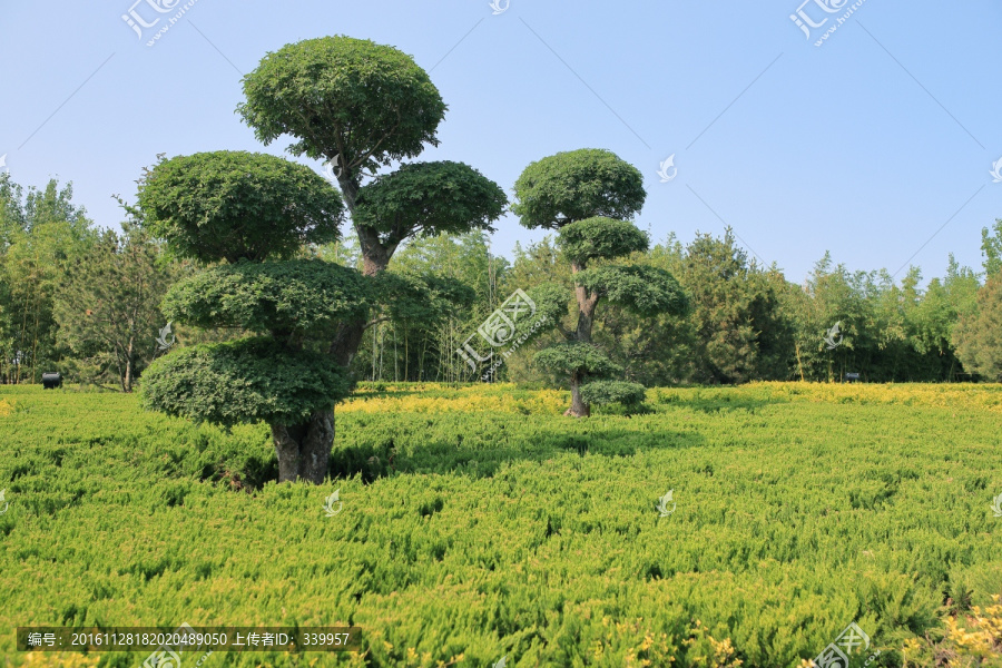 掖縣公園