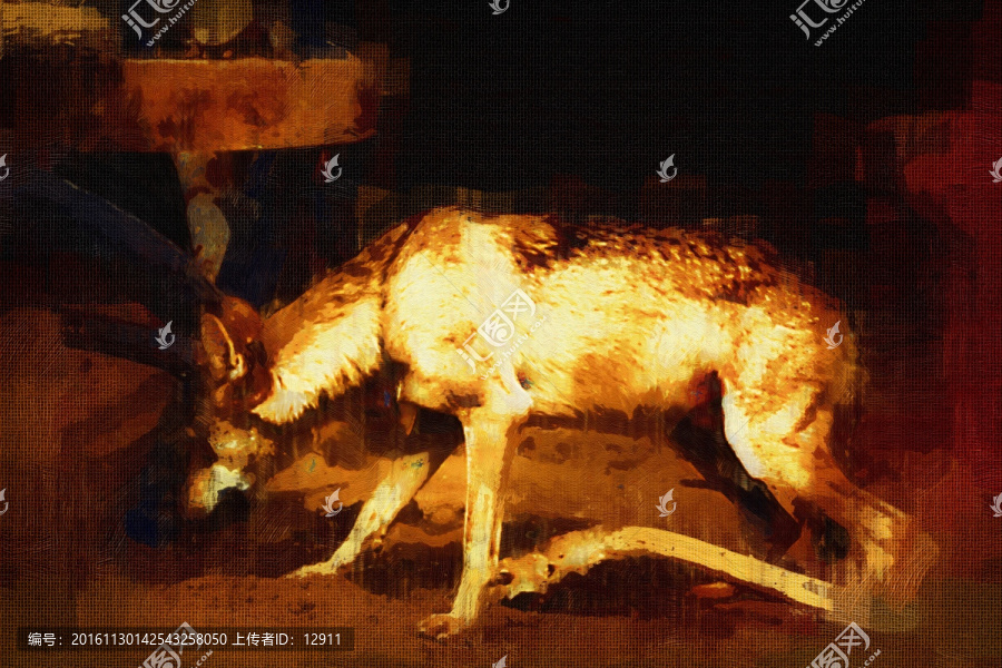 狼,动物油画,装饰画