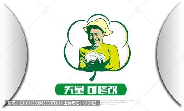收獲的棉花