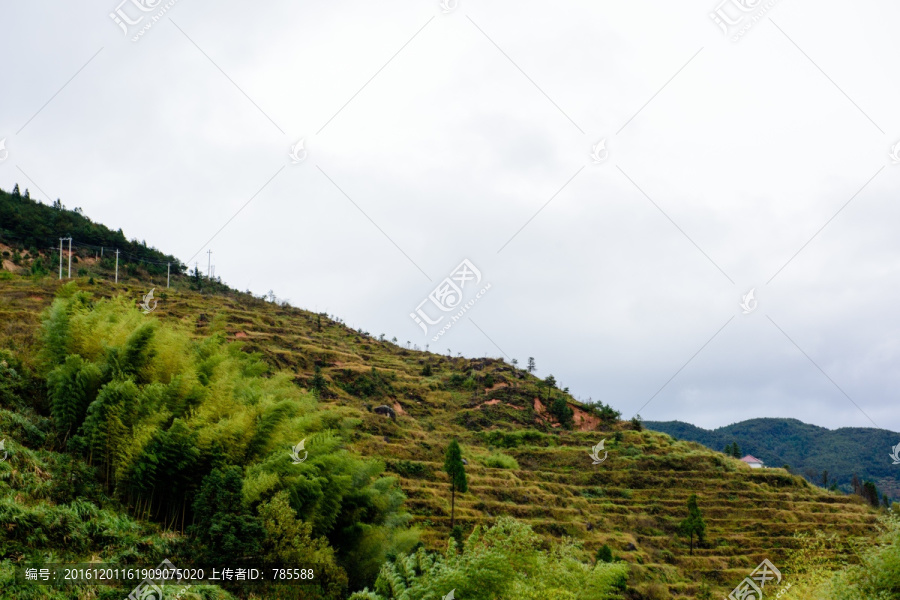 雁荡山云雾