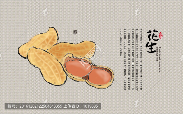花生海報插畫