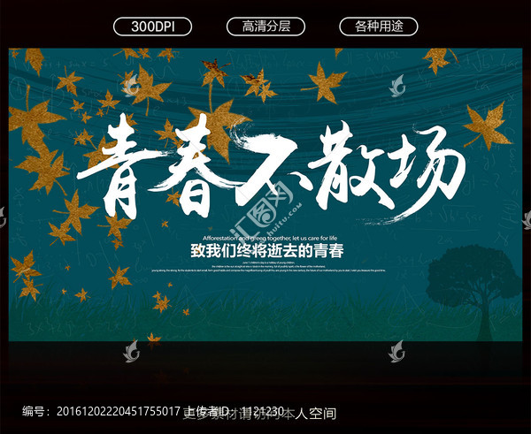 青春不散場