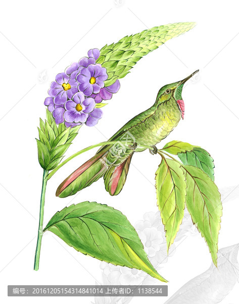 歐式花鳥裝飾畫
