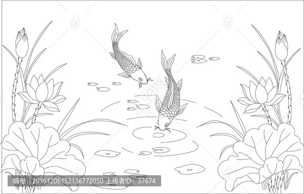 線描荷花魚,單線未閉合